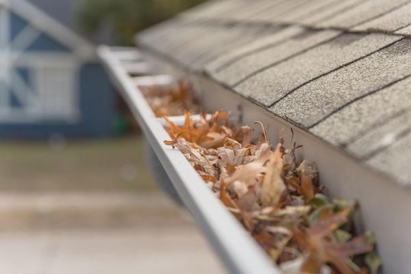 Leaf Barrier Installation in North Little Rock
