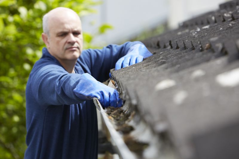 Gutter Maintenance Professionals